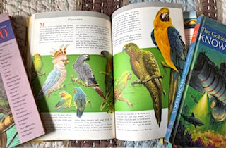 The Golden Book of Knowledge set of 16