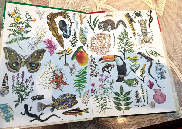 The Golden Book Encyclopedia of Natural Science  1-10