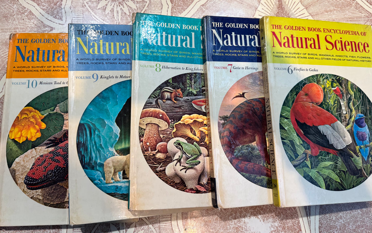 【中古】物質の電子状態 上 (SPRINGER UNIVERSITY TEXTBOOKS) 中古】物質の電子状態〈下〉 (SPRINGER UNIVERSITY TEXTBOOKS) 【公式