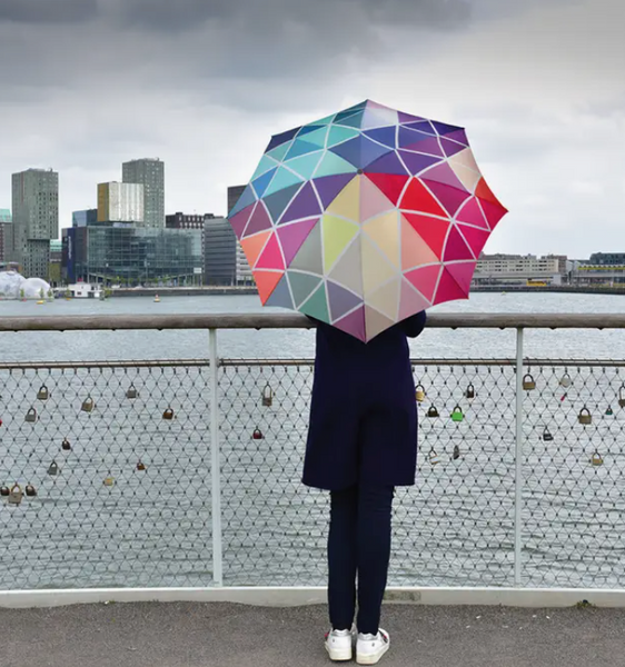 Pocket Umbrella