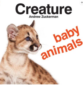 Creature Baby Animals Board Book
