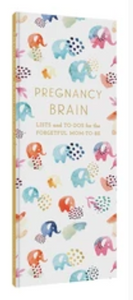 Pregnacy  Brain Books